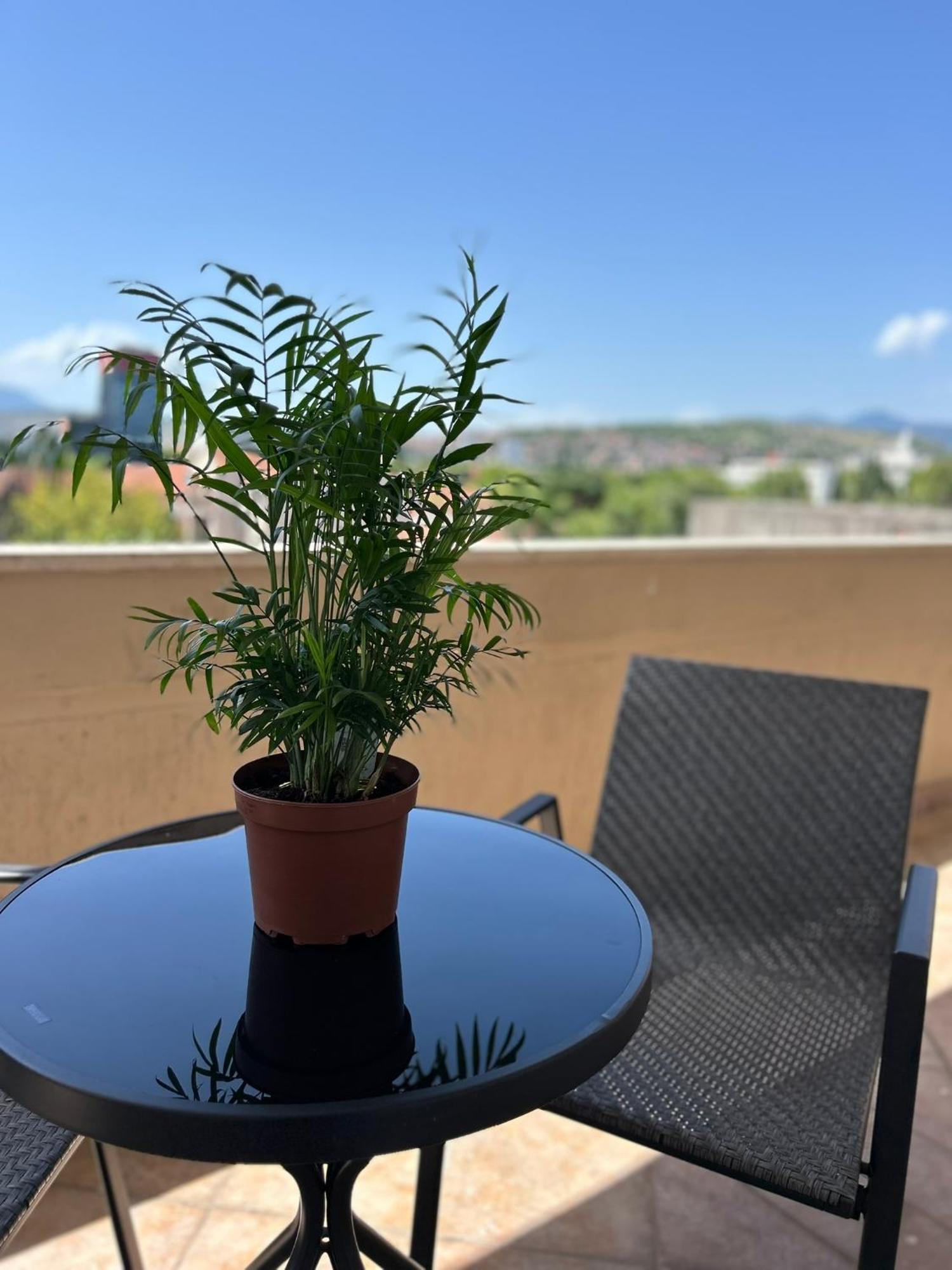 פודגוריצה Hotel Bojatours מראה חיצוני תמונה